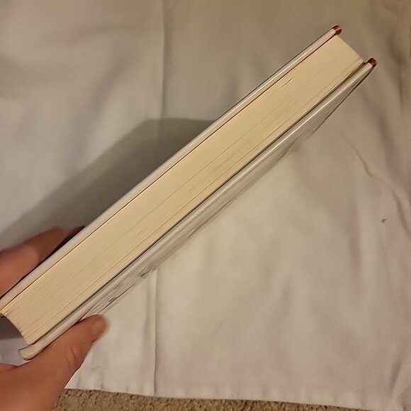 Pearl The Obsessions & Passions of Janis Joplin Biography 1992 by Ellis Amburn - Picture 5 of 9